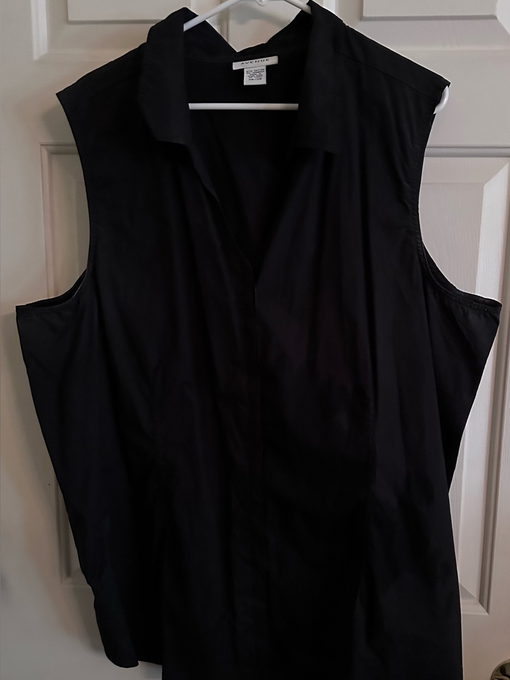 Avenue Sleeveless Black Button-Down Collared Top